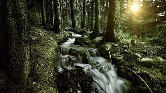 Stream forest trees rocks sunset free wallpaper for desktop - medium preview image