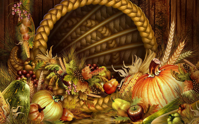 Harvest fall vibrant turkey pumpkins free wallpaper for desktop - medium preview image