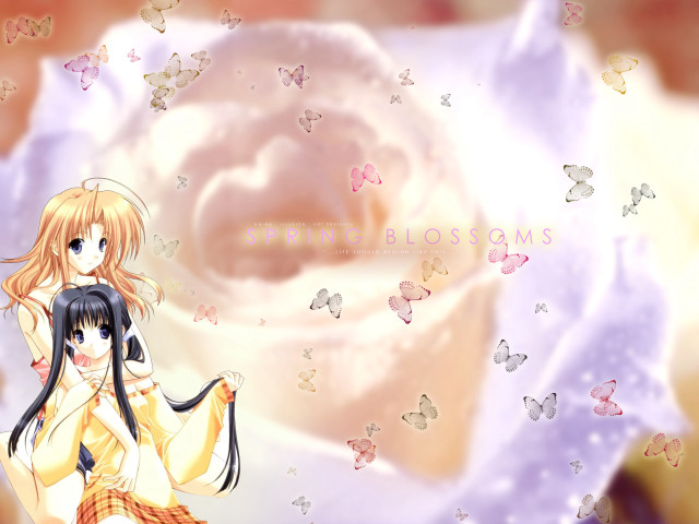 Girl cat butterflies anime remodernism free wallpaper for desktop - medium preview image
