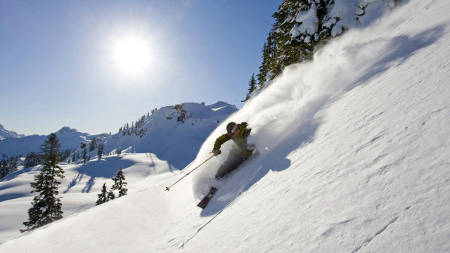Skiing snowy mountain trees sun #2 free wallpaper for desktop - medium preview image