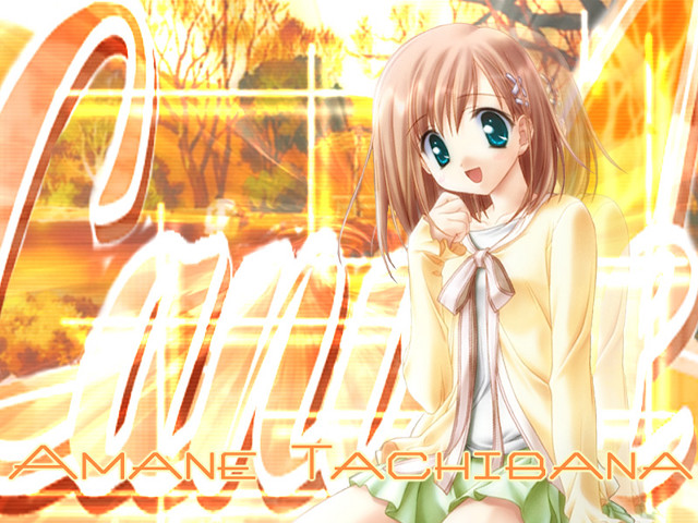Amane tachibana girl sitting autumn free wallpaper for desktop - medium preview image