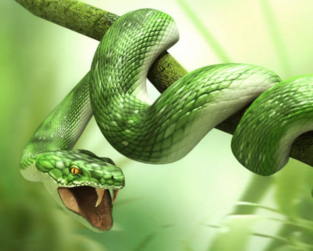 Green snake mouth open branch #2 free wallpaper for desktop - medium preview image