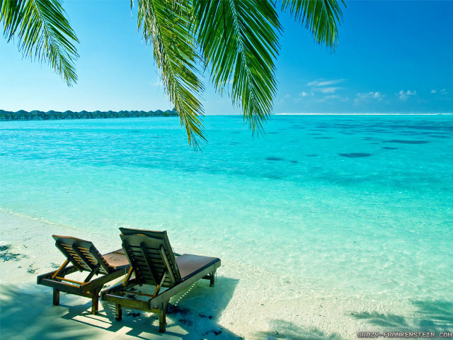 Beach chairs ocean palm tree free wallpaper for desktop - medium preview image