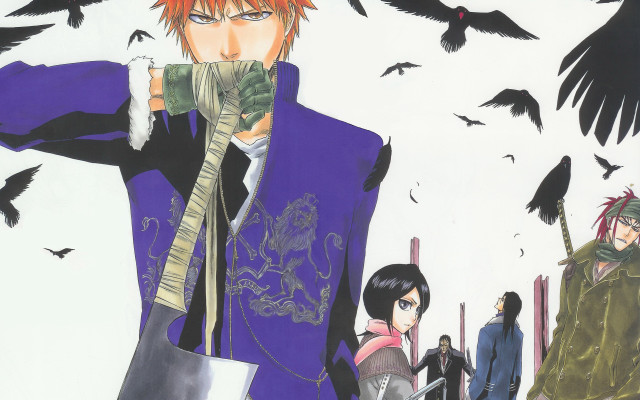 Purple coat birds sword manga free wallpaper for desktop - medium preview image