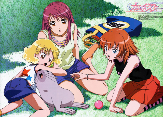 Girls cat dog field blonde free wallpaper for desktop - medium preview image