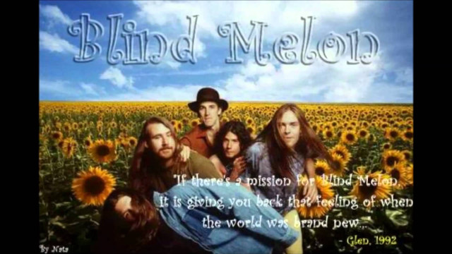 Sunflower field group people quote free wallpaper for desktop - medium preview image