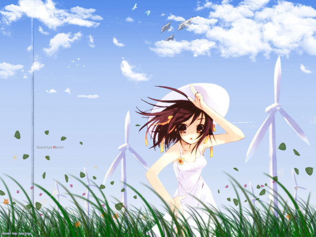 Girl white dress hat field free wallpaper for desktop - medium preview image