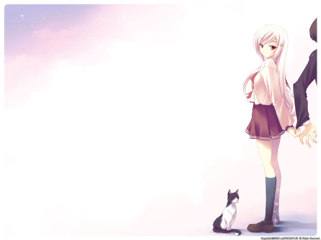 Girl cat sky stars anime free wallpaper for desktop - medium preview image