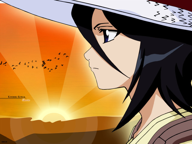 Woman hat bird sunset anime free wallpaper for desktop - medium preview image