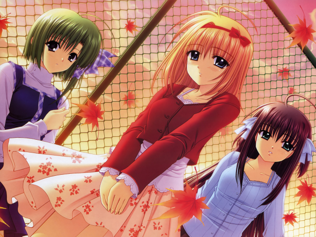 Three anime girls autumn leaves #2 free wallpaper for desktop - medium preview image
