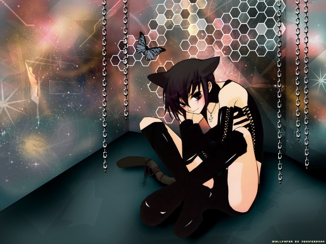 Sitting cat butterfly star galaxy free wallpaper for desktop - medium preview image