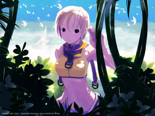 Woman bikini forest bird overhead free wallpaper for desktop - medium preview image