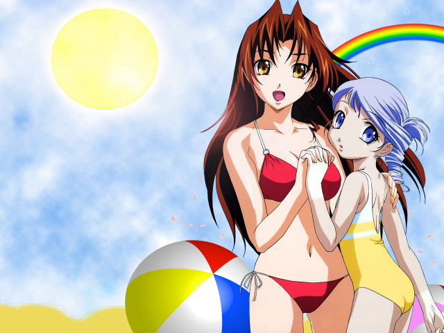 Two women beach bikini rainbow free wallpaper for desktop - medium preview image