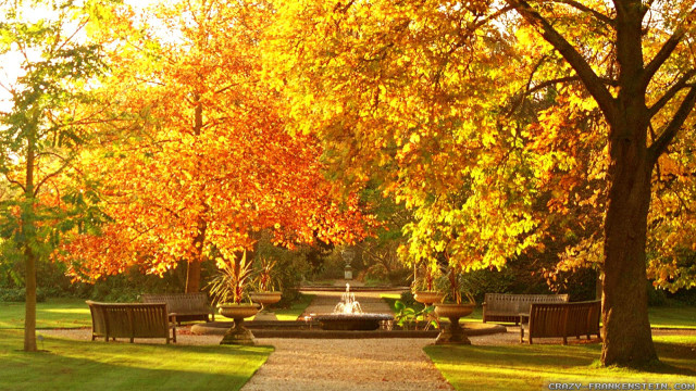 Park bench fountain orange leaves free wallpaper for desktop - medium preview image
