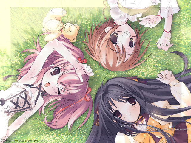 Three anime girls grass outdoors free wallpaper for desktop - medium preview image