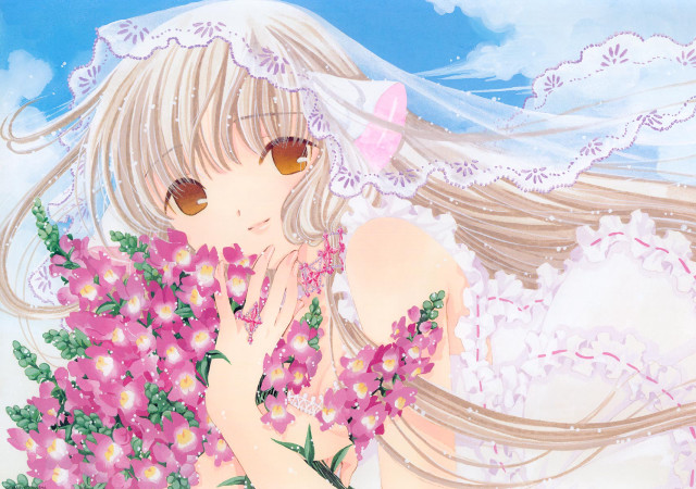 Girl veil flowers sky bouquet free wallpaper for desktop - medium preview image