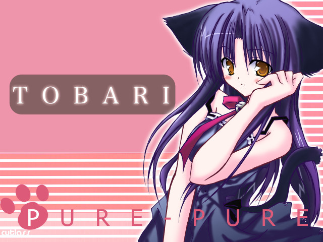 Tobarii purple haired girl cat free wallpaper for desktop - medium preview image