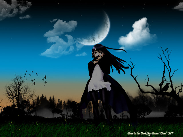 Gothic anime girl field moon free wallpaper for desktop - medium preview image