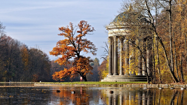 Large tree lake park tall free wallpaper for desktop - medium preview image