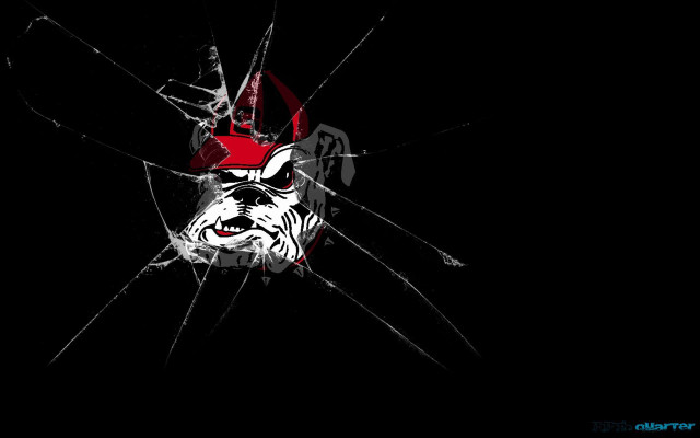 Bulldog broken glass red hat free wallpaper for desktop - medium preview image