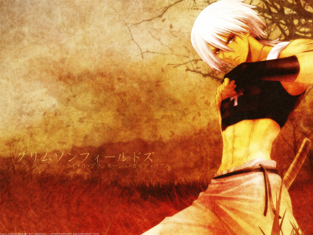 White hair man field sunset free wallpaper for desktop - medium preview image