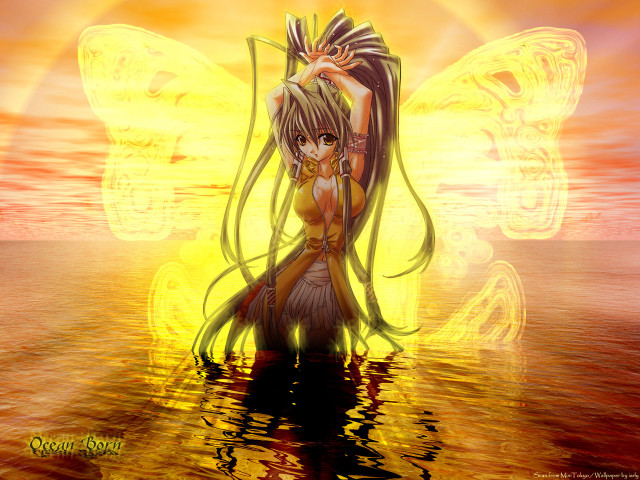 Fairy butterfly wings water sunset free wallpaper for desktop - medium preview image