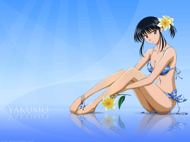 Woman flower hair blue bikini free wallpaper for desktop - medium preview image