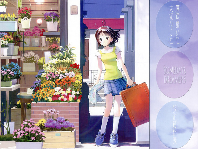 Girl suitcase flower shop morning free wallpaper for desktop - medium preview image