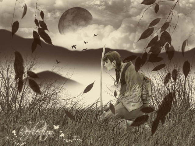 Woman kneeling field fullmoon fantasy free wallpaper for desktop - medium preview image