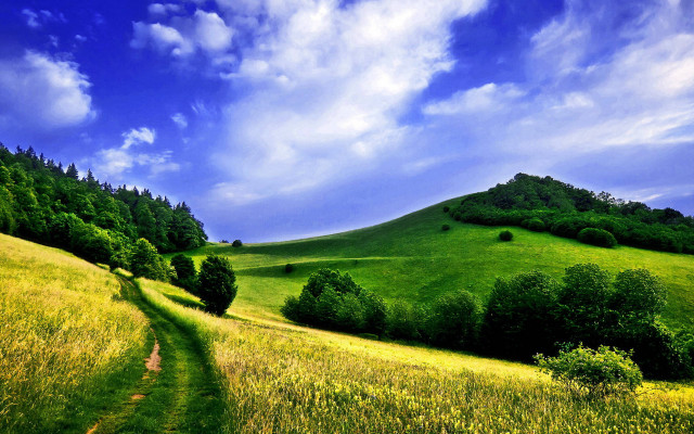 Grassy hill path trees blue free wallpaper for desktop - medium preview image