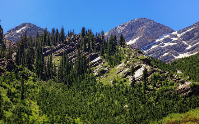 Mountain forest snow blue sky free wallpaper for desktop - medium preview image