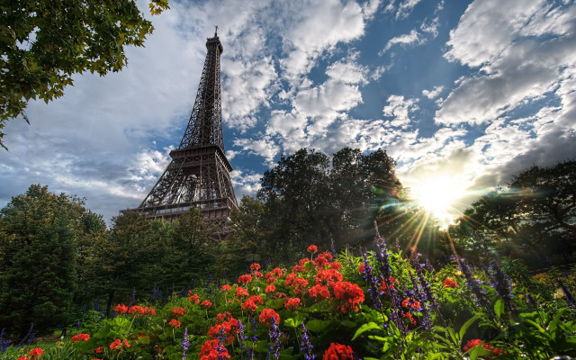 Eiffel tower forest flowers sky free wallpaper for desktop - medium preview image