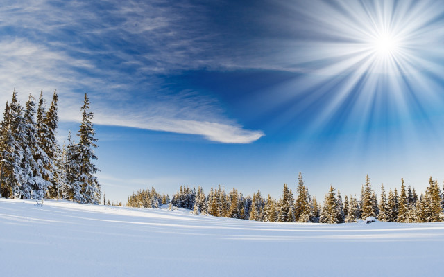 Sunny snowy day bright sun free wallpaper for desktop - medium preview image