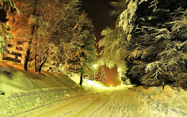 Snowy road fence trees night free wallpaper for desktop - medium preview image