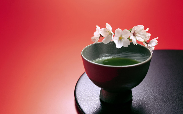 Small bowl green liquid flower free wallpaper for desktop - medium preview image