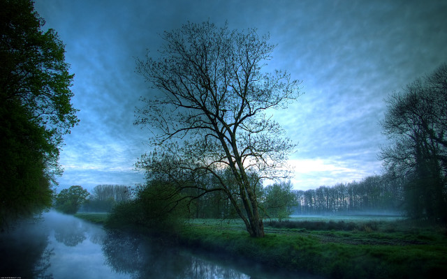 River tree clouds forest matte free wallpaper for desktop - medium preview image