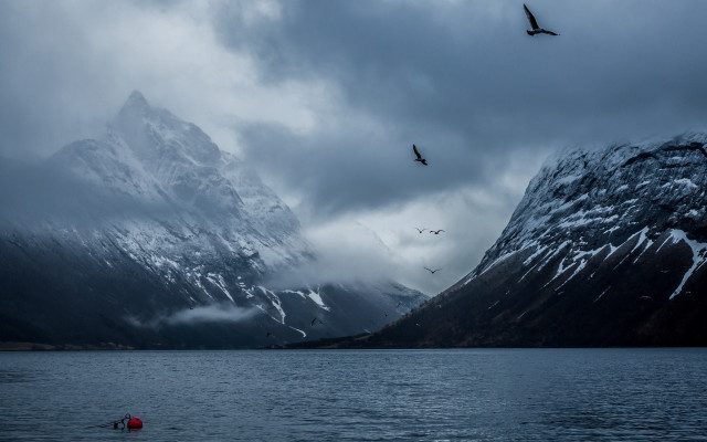 Bird water mountains sky flock free wallpaper for desktop - medium preview image