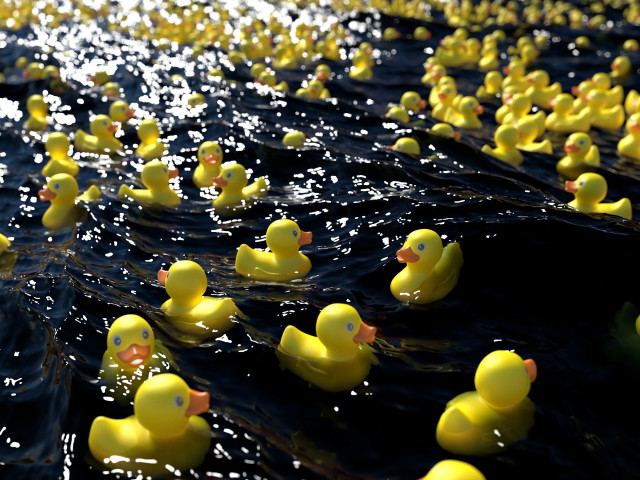 Rubber ducks water row 3d free wallpaper for desktop - medium preview image