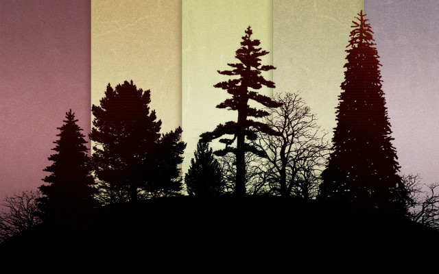 Trees grass sky stars forest free wallpaper for desktop - medium preview image