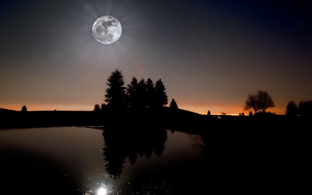 Full moon lake night trees free wallpaper for desktop - medium preview image