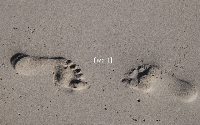 Footprints wait sand water blood free wallpaper for desktop - medium preview image