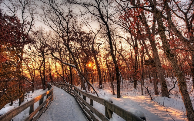 Wooden bridge snowy forest sunset free wallpaper for desktop - medium preview image