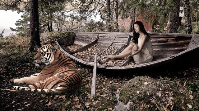 Woman boat tiger autumn nature free wallpaper for desktop - medium preview image