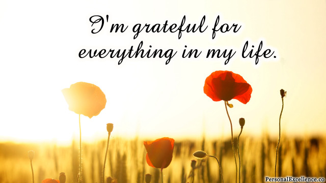 Red flowers grateful everything life free wallpaper for desktop - medium preview image