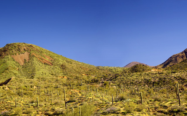 Mountain trees bushes cityscape sky free wallpaper for desktop - medium preview image