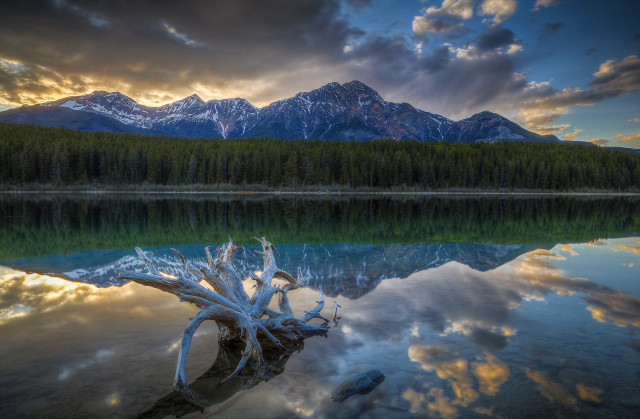Lake tree stump mountains clouds free wallpaper for desktop - medium preview image