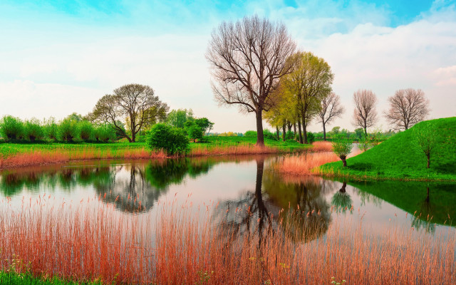 Pond trees grass blue sky #2 free wallpaper for desktop - medium preview image