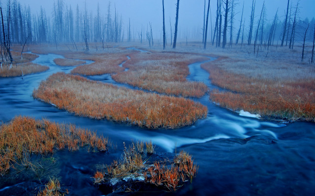 Marshy stream foggy forest nature free wallpaper for desktop - medium preview image