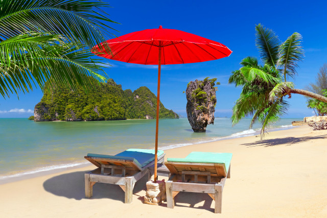 Beach lounge chairs umbrella palm free wallpaper for desktop - medium preview image