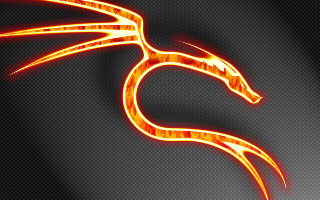 Glowing orange dragon shadow fire free wallpaper for desktop - medium preview image